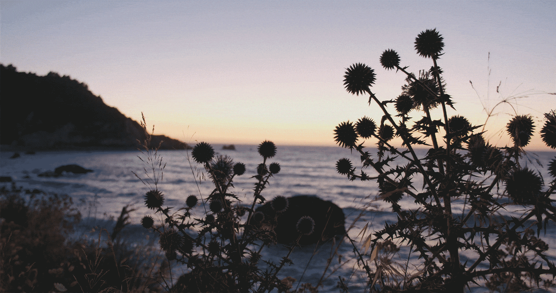 01-home-A-touch-of-new-header